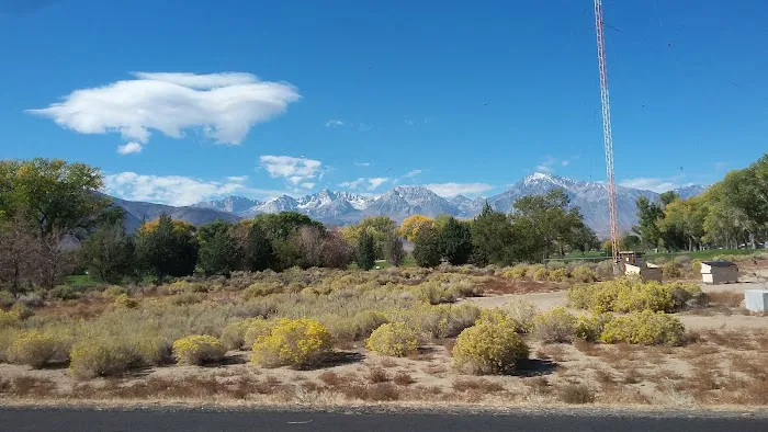 Brown's Town Campgrounds Picture 5