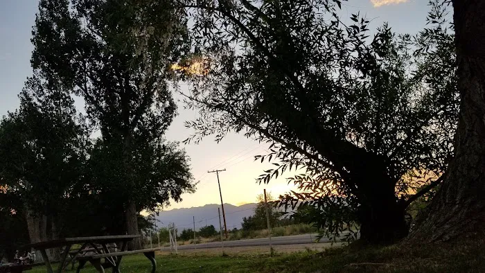 Brown's Town Campgrounds Picture 4