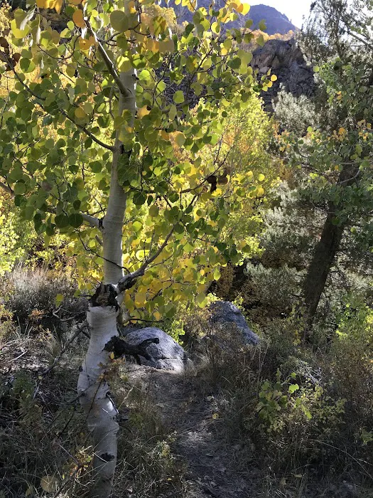 Mountain Glen Campground Picture 7