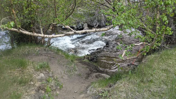 Mountain Glen Campground Picture 2