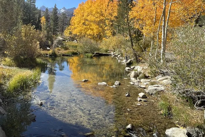 Sabrina Campground Picture 5