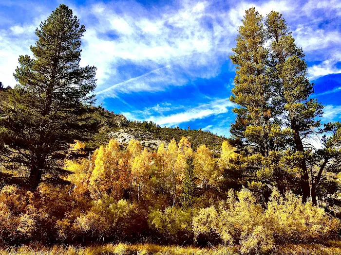 Sabrina Campground Picture 10
