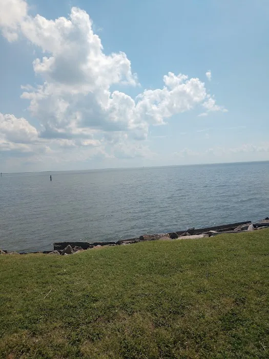 Sanddollar RV Park Picture 5