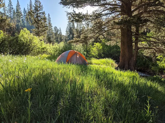 North Lake Campground Picture 7