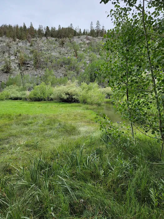 Willow Campground Picture 5