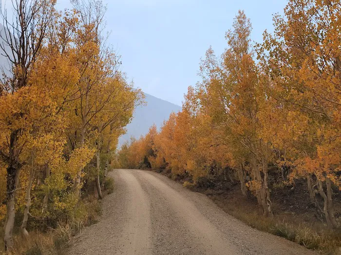 Willow Campground Picture 10