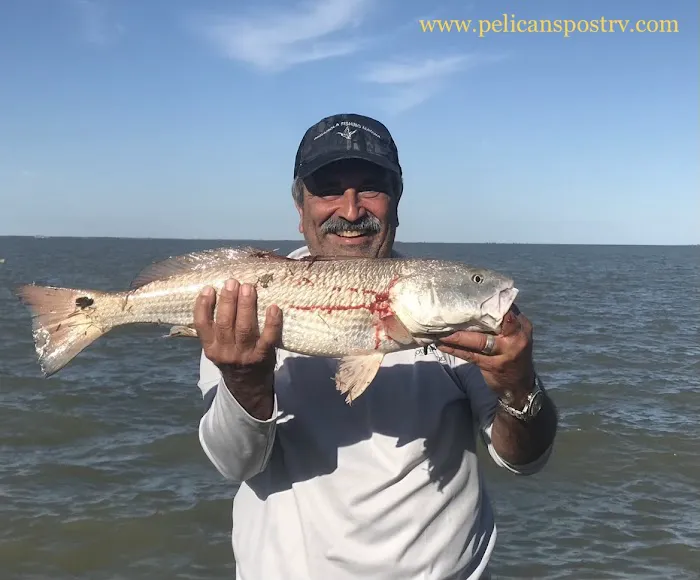 Pelican's Post RV Park Picture 7