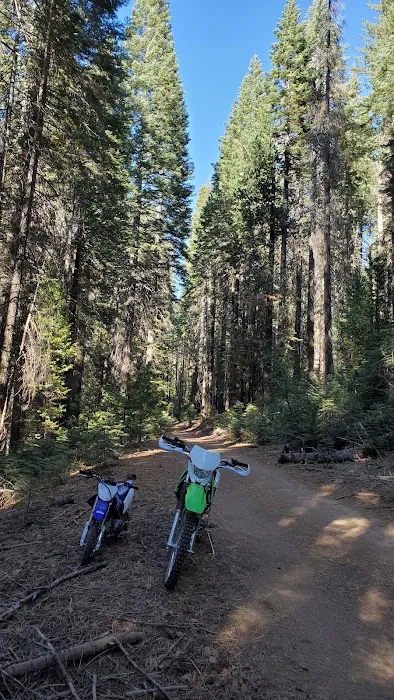 Hull Creek Campground Picture 6
