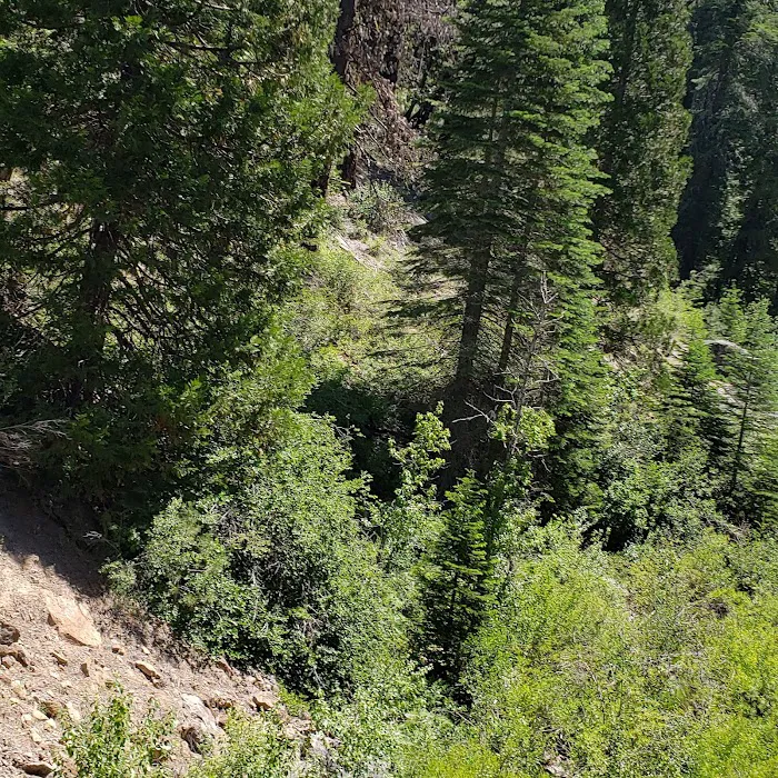 Hull Creek / Trout Creek OHV Area (recgovnpsdata) Picture 2