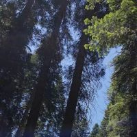 Hull Creek / Trout Creek OHV Area (recgovnpsdata) ico