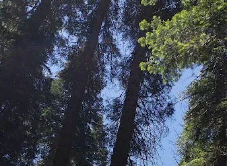Hull Creek / Trout Creek OHV Area (recgovnpsdata)
