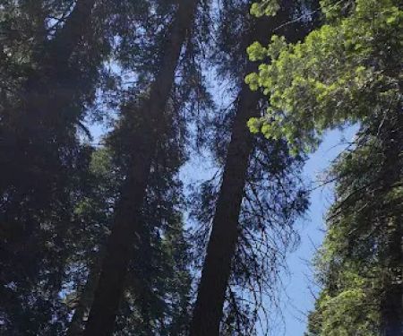 Hull Creek / Trout Creek OHV Area (recgovnpsdata)