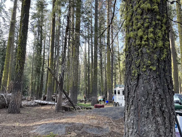 Kerrick Corral Horse Camp Picture 4