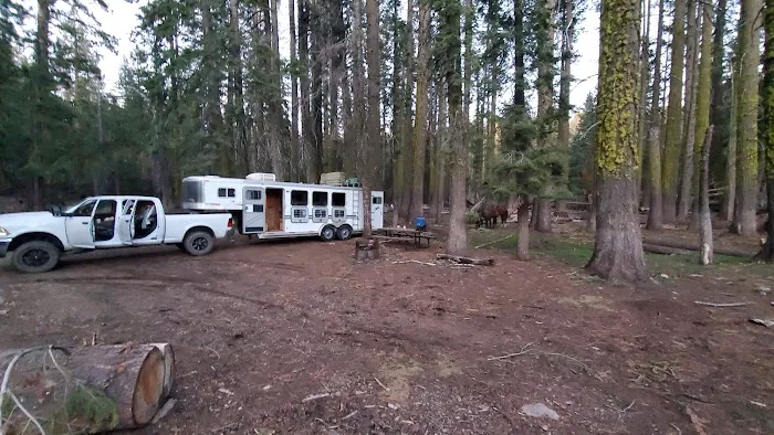 Kerrick Corral Horse Camp Picture 2