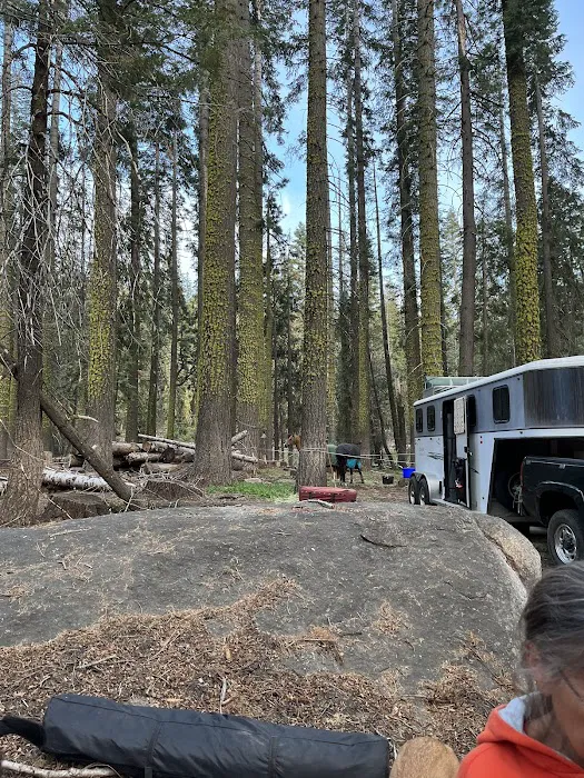 Kerrick Corral Horse Camp Picture 3