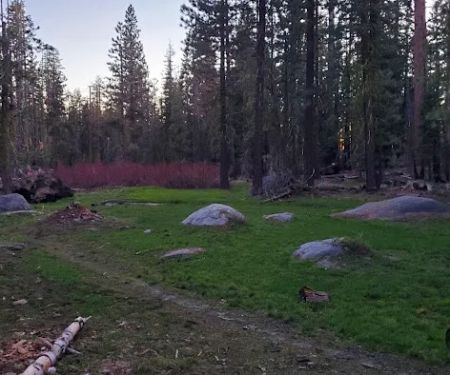 Kerrick Corral Horse Camp