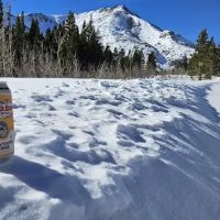 Upper Virginia Creek Primitive Campground (recgovnpsdata) ico