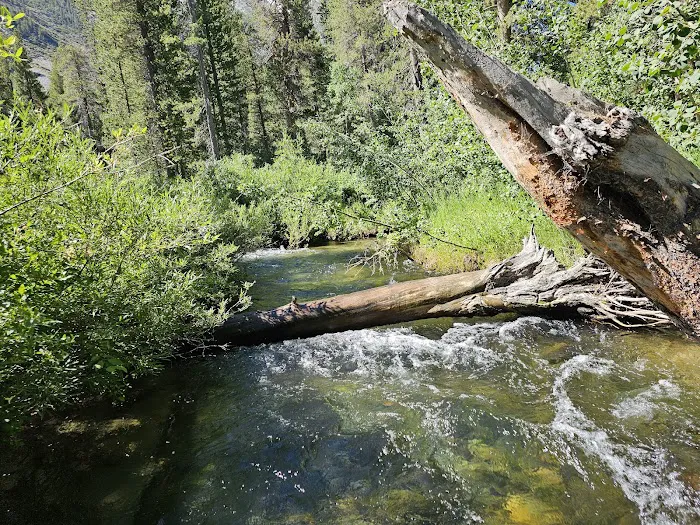 Green Creek Campground Picture 3