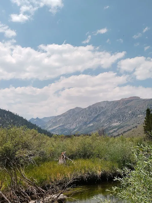 Green Creek Campground Picture 5