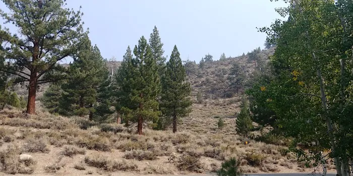 Lower Twin Lakes Campground Picture 4