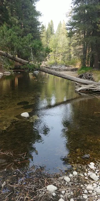 Lower Twin Lakes Campground Picture 2
