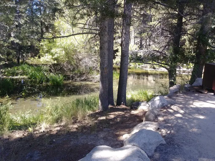 Lower Twin Lakes Campground Picture 7
