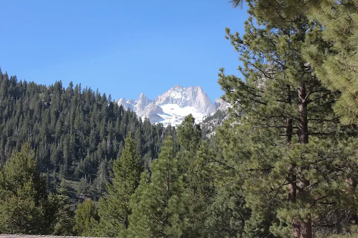 Lower Twin Lakes Campground Picture 9