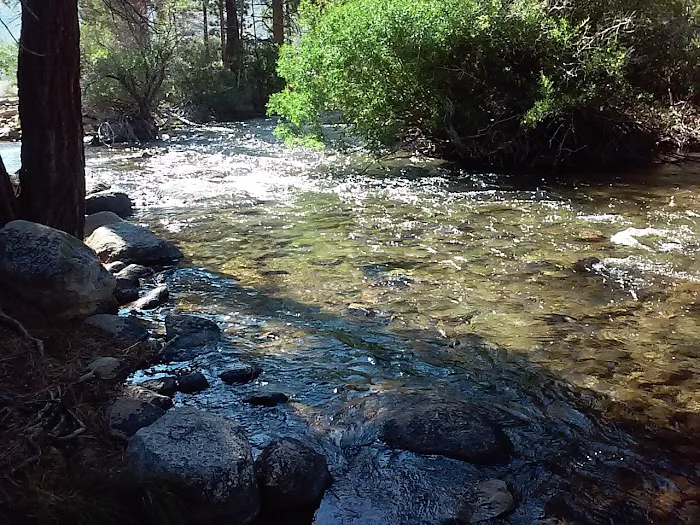 Lower Twin Lakes Campground Picture 8