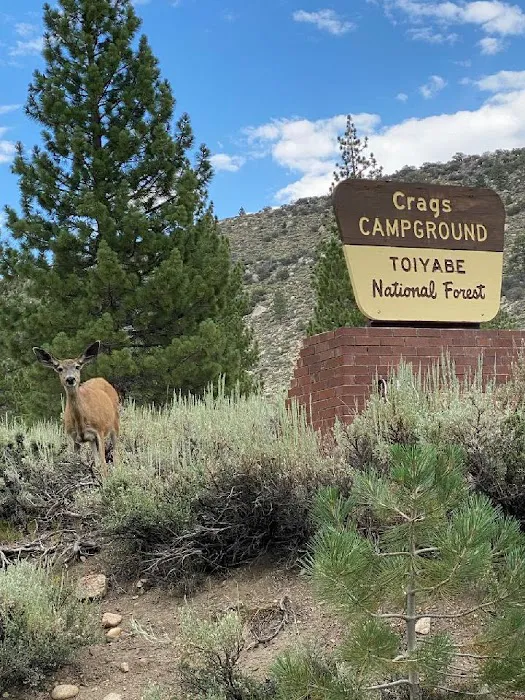 CRAGS CAMPGROUND Picture 5
