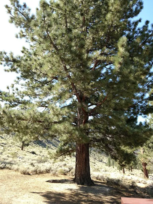 CRAGS CAMPGROUND Picture 9