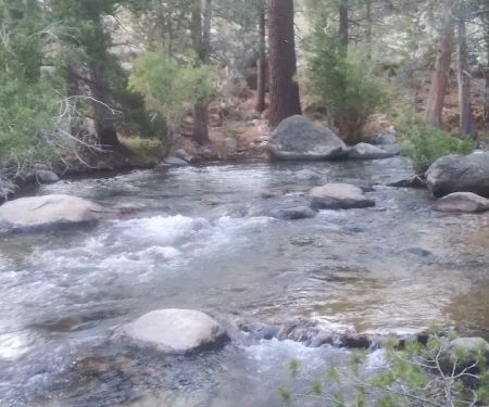 Paha Campground