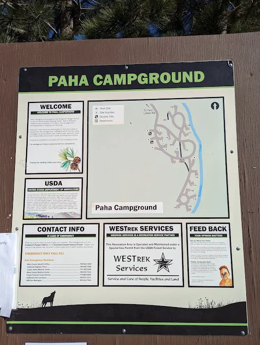 Paha Campground Picture 2