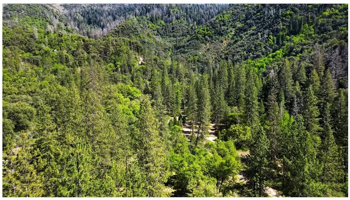 River Ranch Campground Picture 10