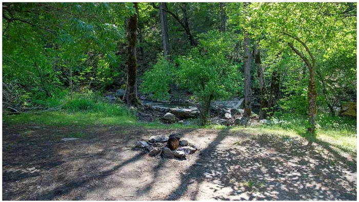 River Ranch Campground Picture 4