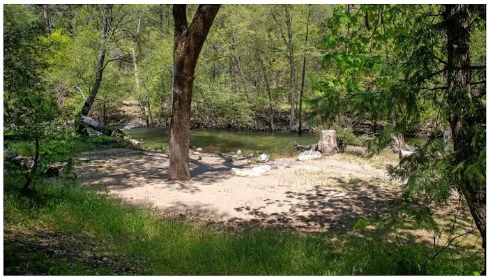 River Ranch Campground Picture 3