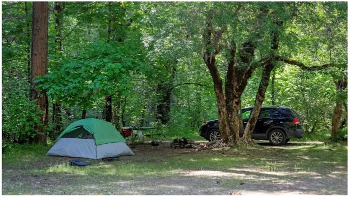 River Ranch Campground Picture 6