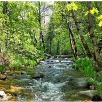 River Ranch Campground ico