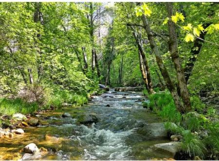 River Ranch Campground