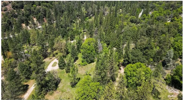 River Ranch Campground Picture 7