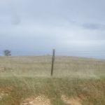 La Grange Tent Campground