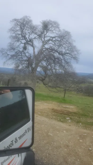La Grange Tent Campground Picture 4