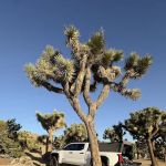 Black Rock Canyon Campground