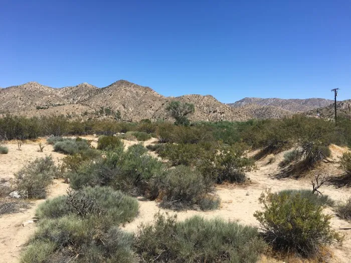 Desert Rose Collective Camping Picture 6