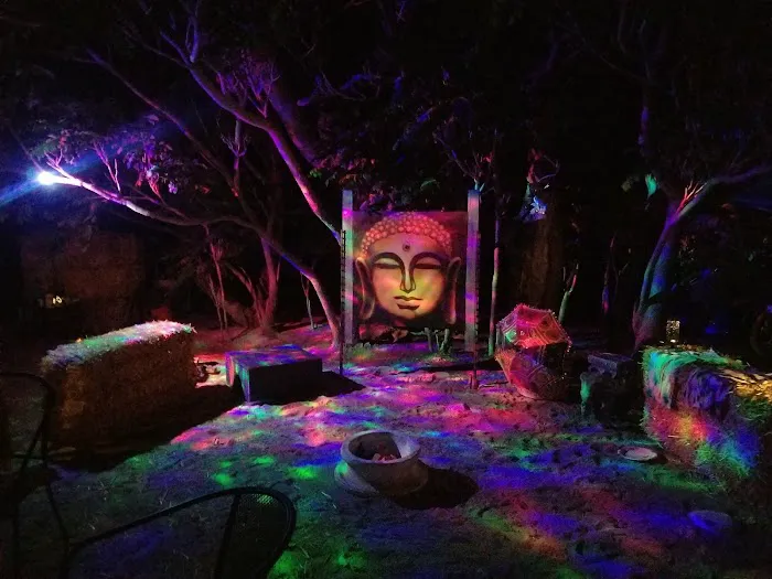 Desert Rose Collective Camping Picture 5