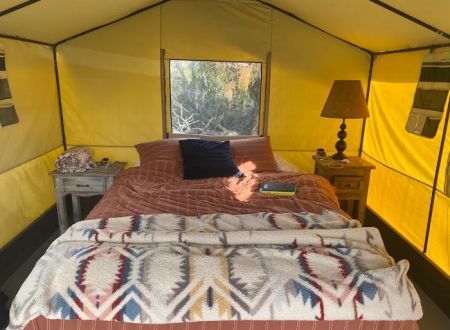 Desert Rose Collective Camping