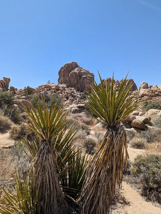 Hidden Valley Campground Picture 10