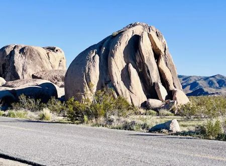 Jumbo Rocks Campground
