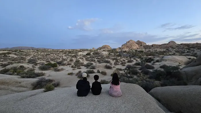 Jumbo Rocks Campground Picture 2
