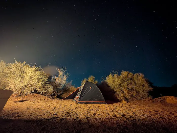 Jumbo Rocks Campground Picture 7