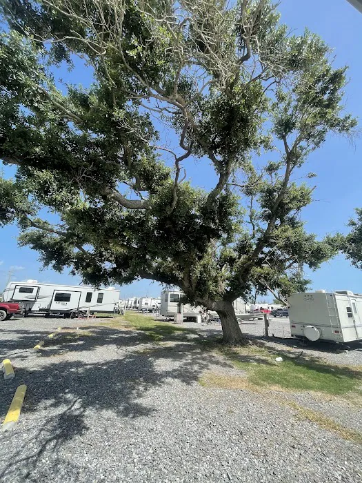 Cameron RV Park Picture 8